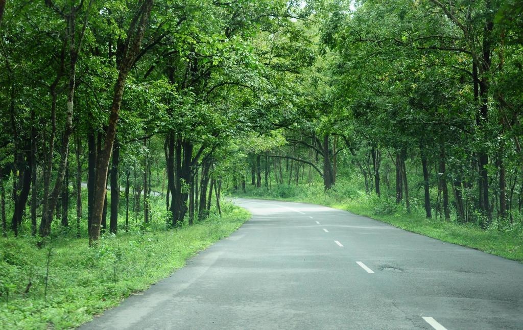 Marg Stream Valley Vythiri Luaran gambar