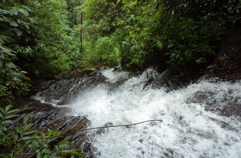 Marg Stream Valley Vythiri Luaran gambar