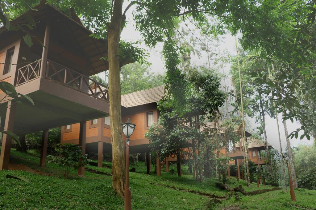 Marg Stream Valley Vythiri Bilik gambar