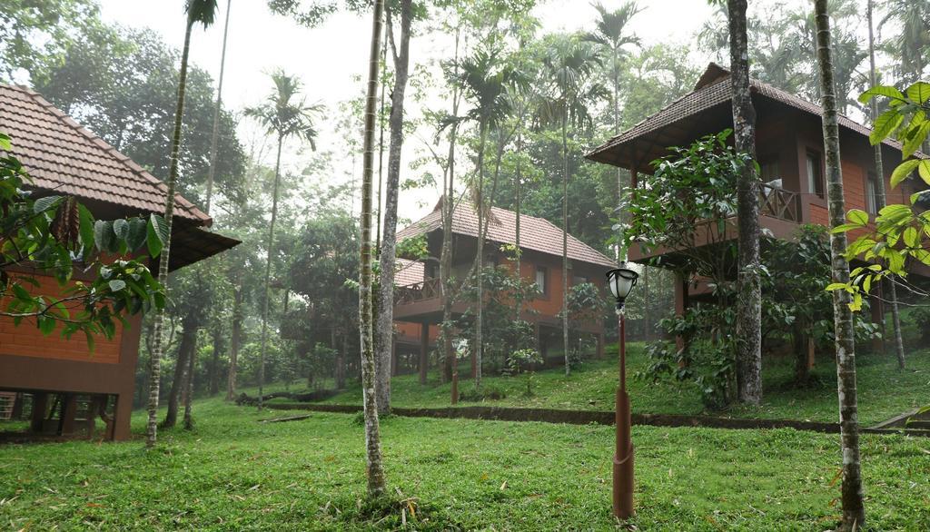 Marg Stream Valley Vythiri Luaran gambar
