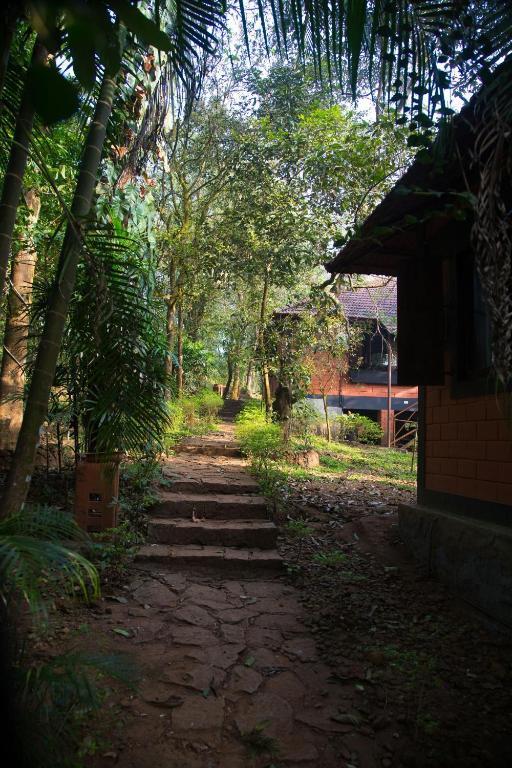 Marg Stream Valley Vythiri Luaran gambar
