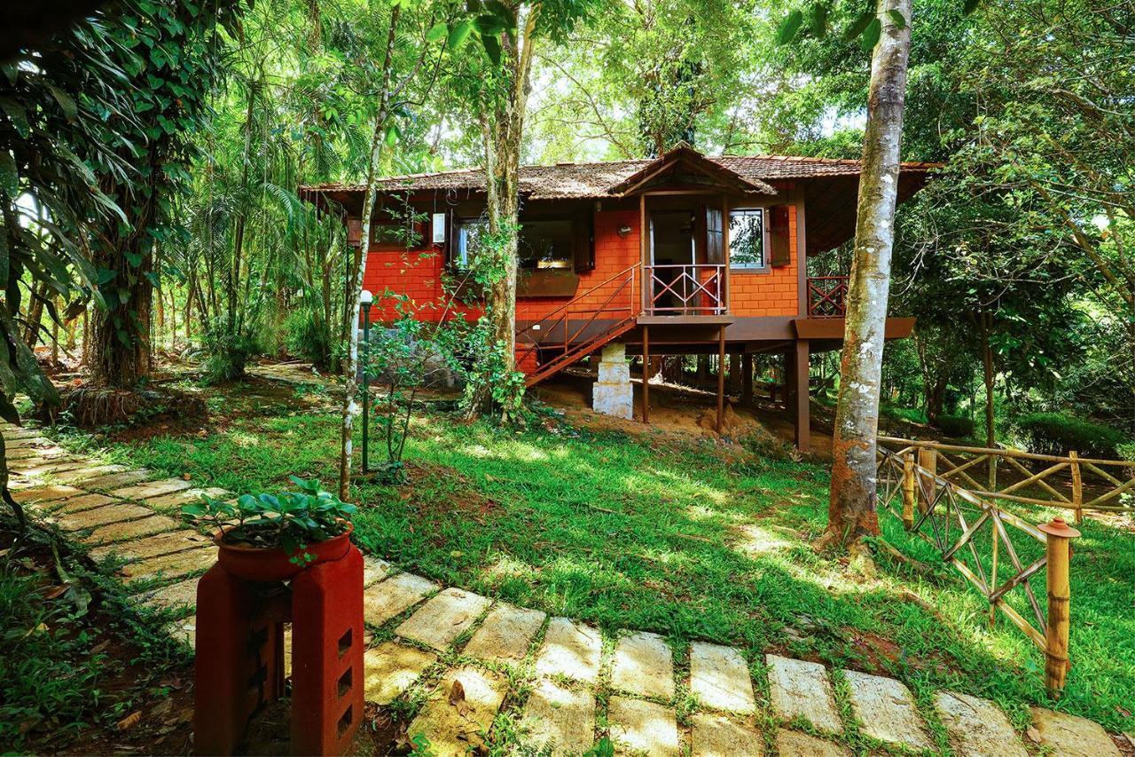Marg Stream Valley Vythiri Luaran gambar